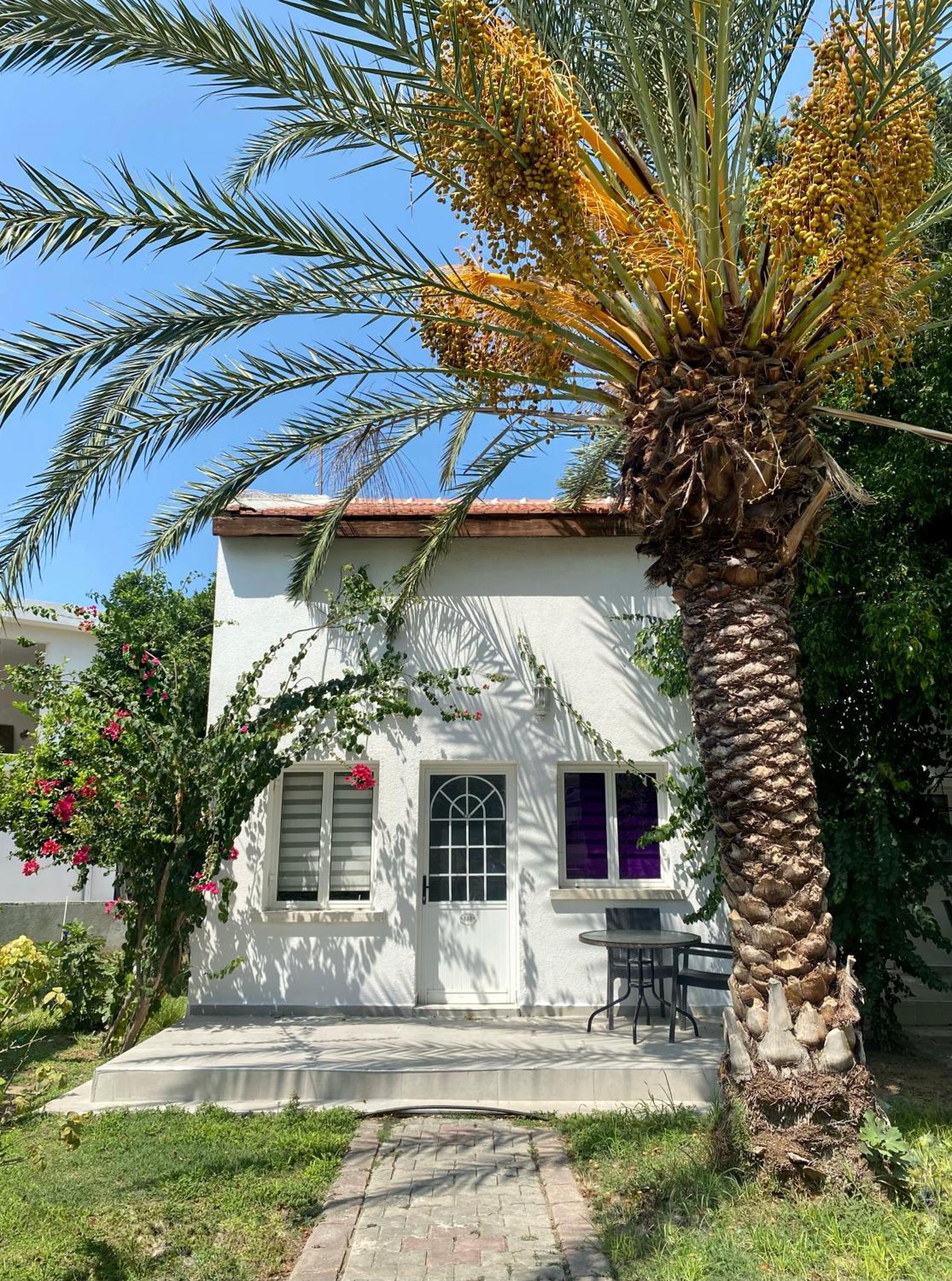 The Prince Inn Hotel & Villas Agios Georgios  Exteriör bild