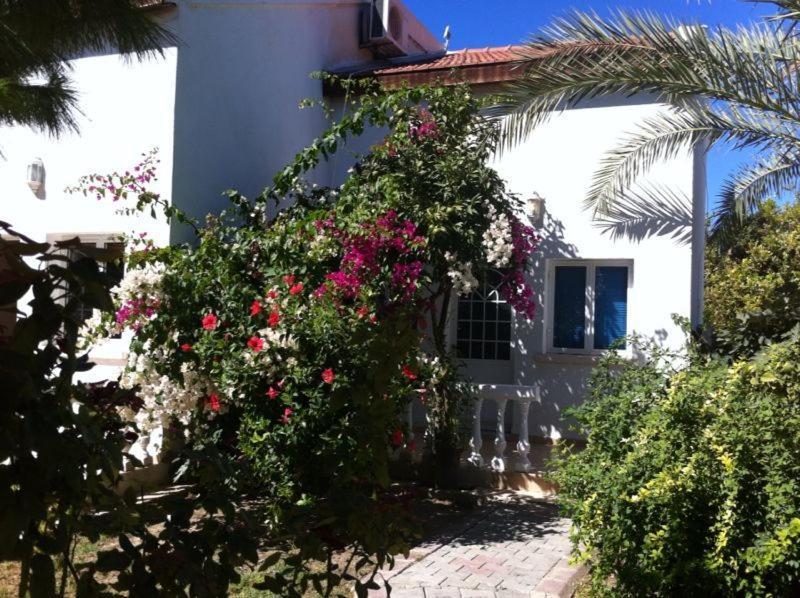 The Prince Inn Hotel & Villas Agios Georgios  Exteriör bild