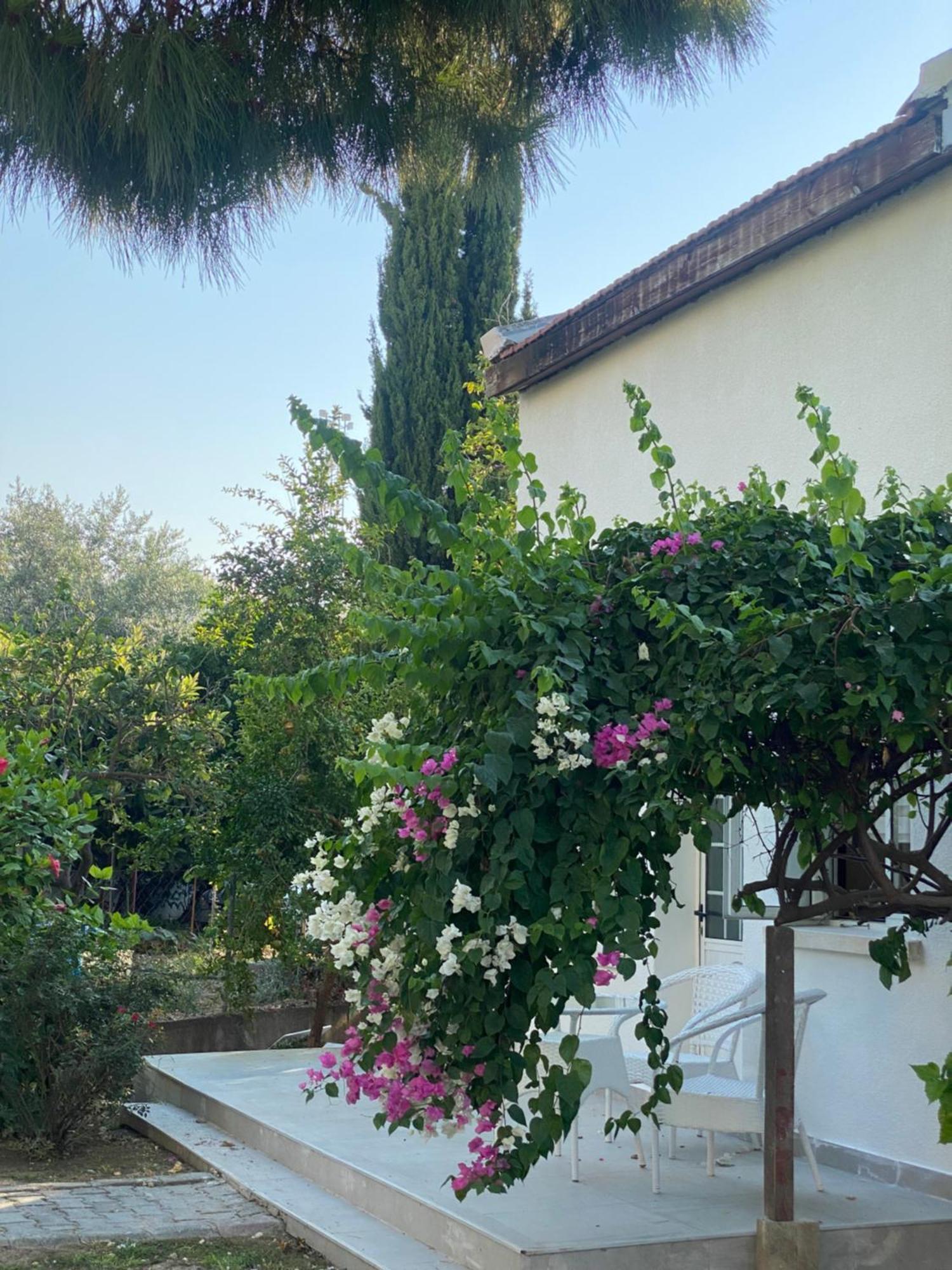The Prince Inn Hotel & Villas Agios Georgios  Exteriör bild